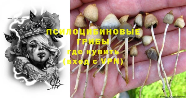 метадон Рославль